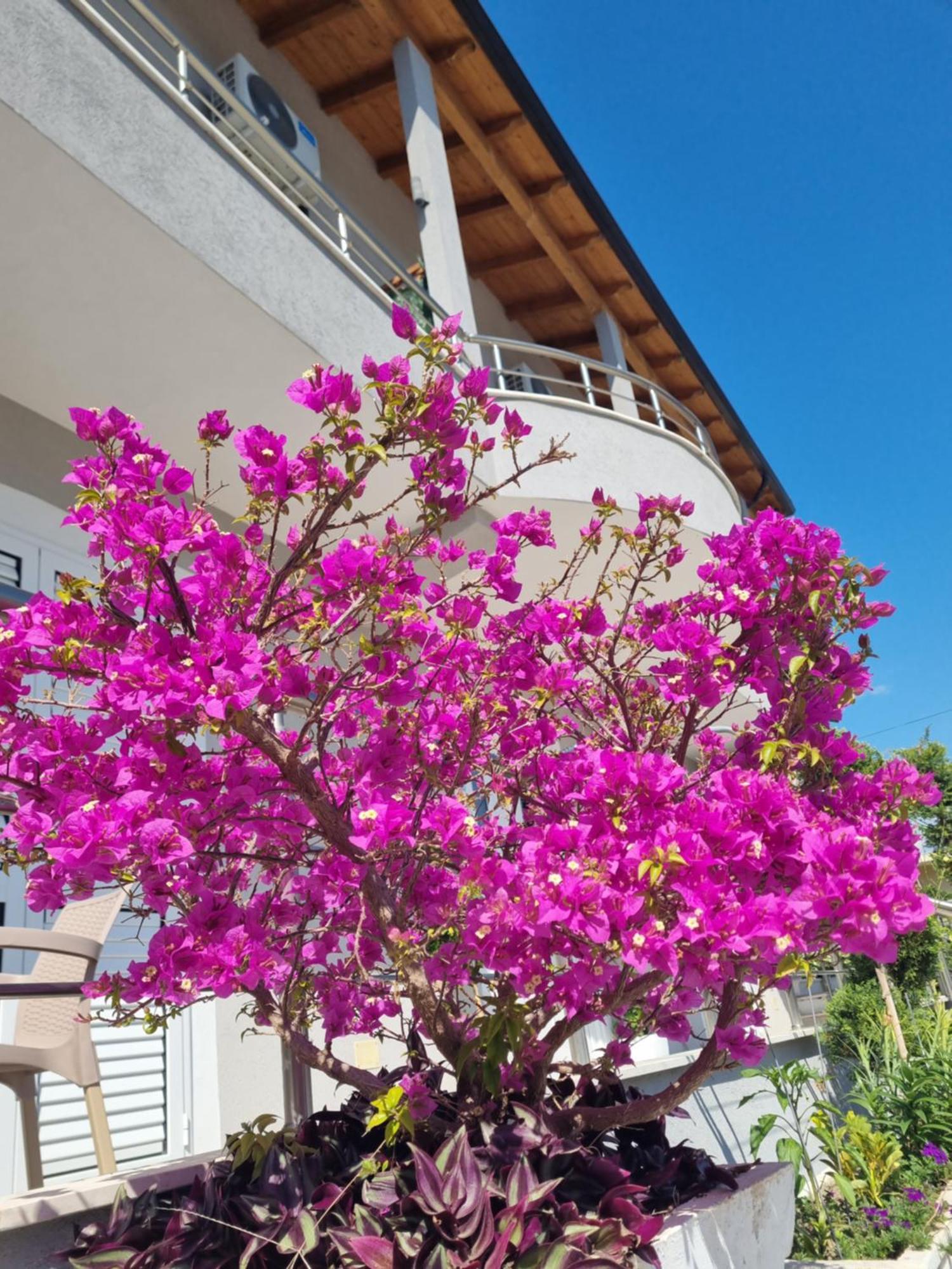 Vila Soleil Vlorë Εξωτερικό φωτογραφία