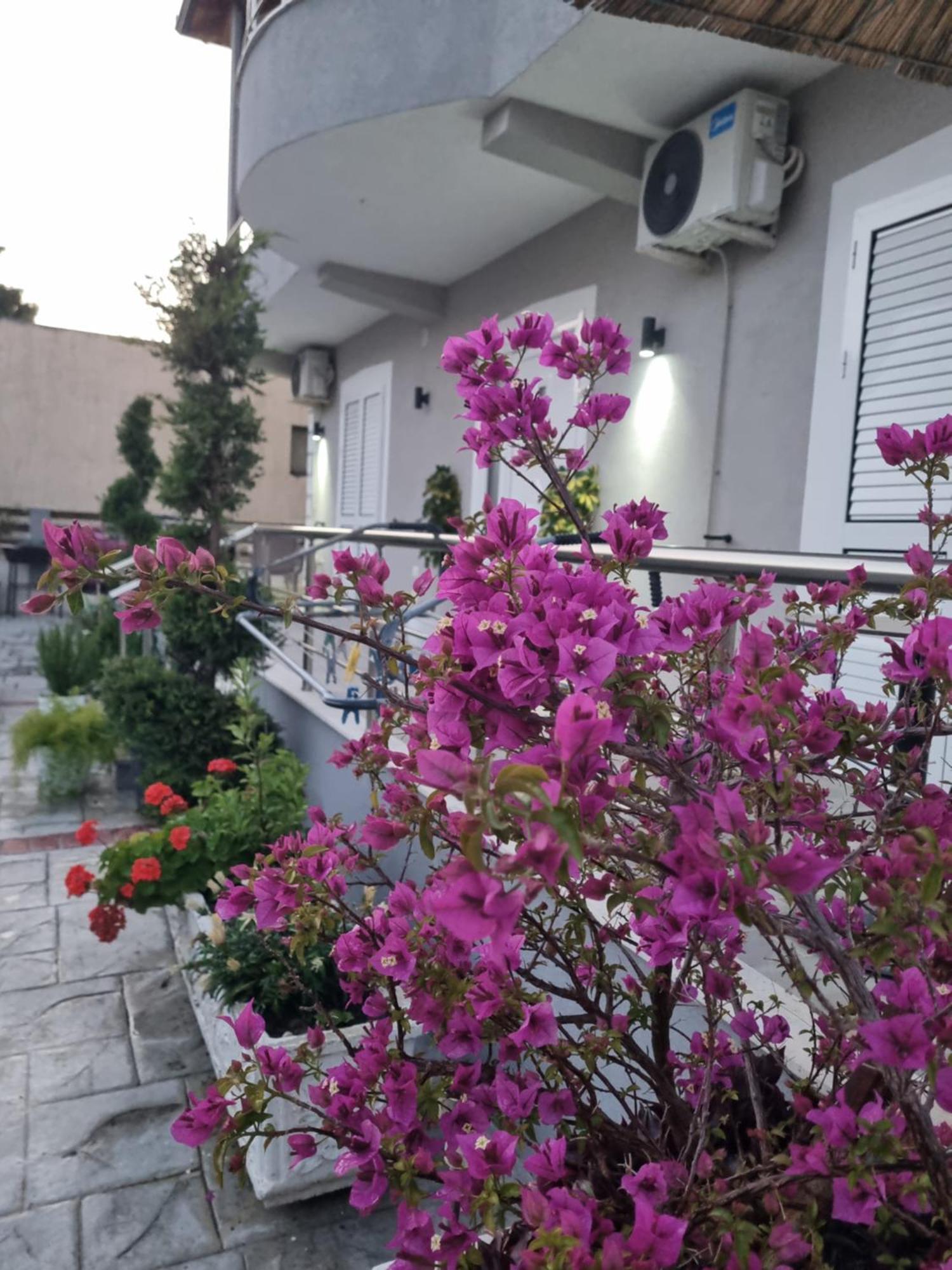 Vila Soleil Vlorë Εξωτερικό φωτογραφία
